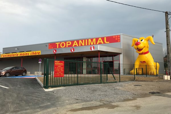 Commande de mascotte de chien jaune Mega Top Animal. Achetez des promotions gonflables en ligne chez JB Gonflables France