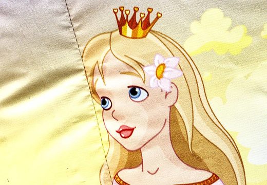 Mini château gonflable sur le thème de la princesse à vendre pour les enfants. Achetez des châteaux gonflables chez JB Gonflables Franceen ligne