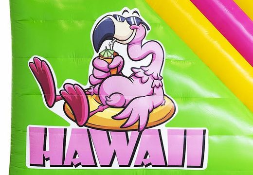 Videur compact gonflable de glissière de thème d'Hawaï d'enfants à vendre