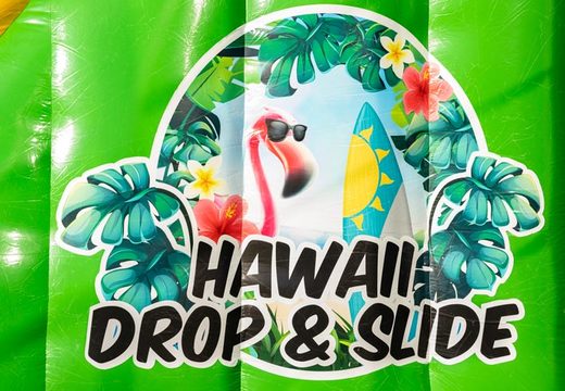 Achetez le thème Drop and Slide in Hawaii pour les enfants. Commandez des toboggans gonflables maintenant en ligne chez JB Gonflables France