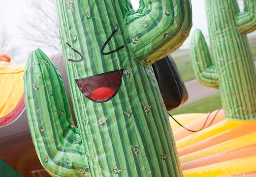 Détail de cactus sur le rodéo gonflable de traction